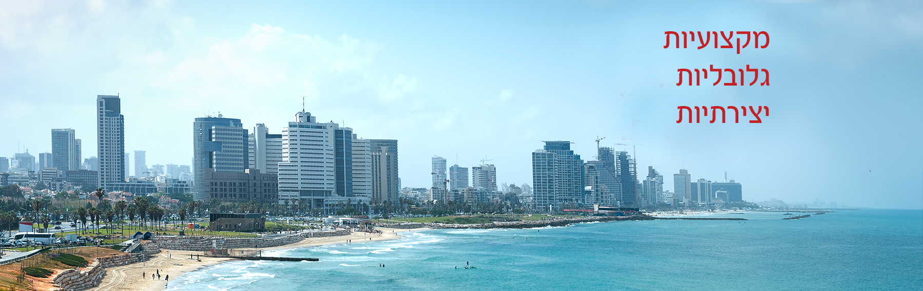 וייס-תמונת-נושא2